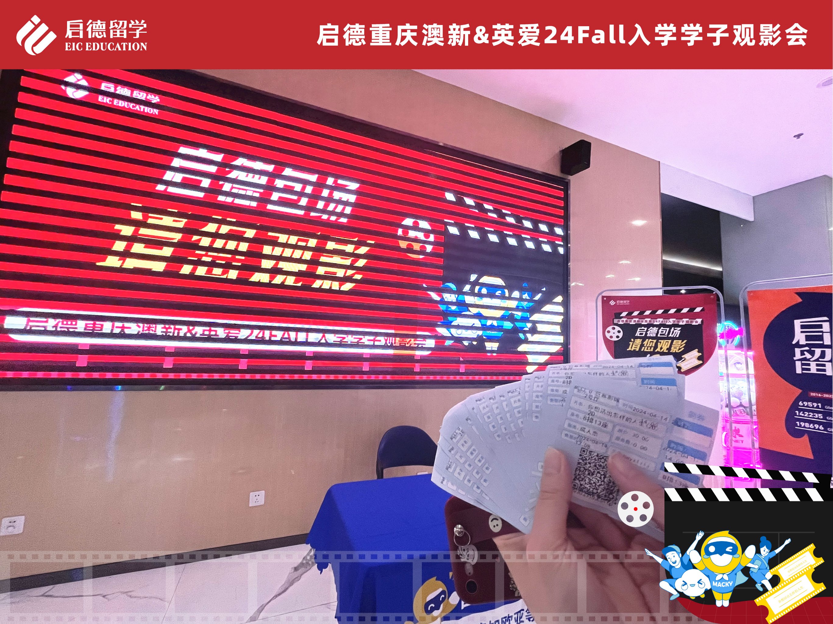 顺顺留学，顺顺留学张杨是怎么火起来的